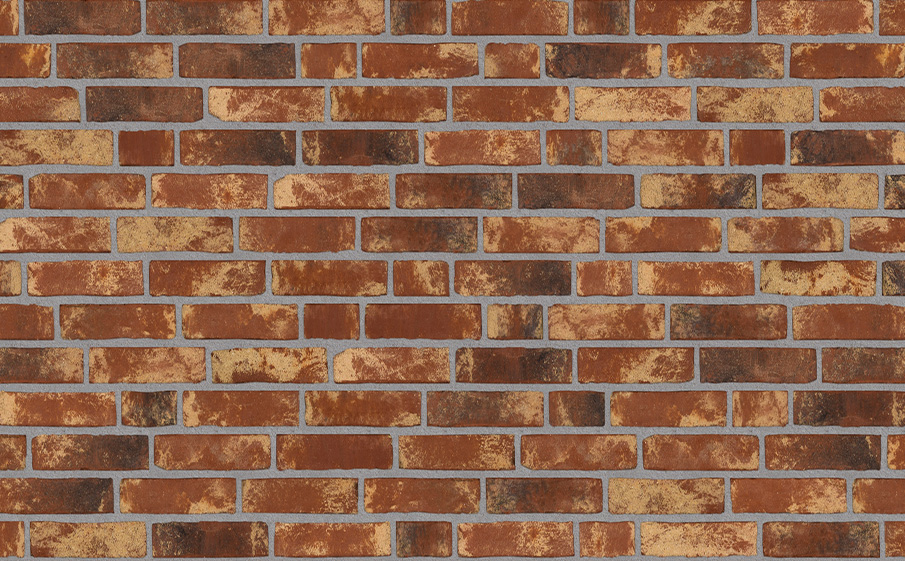 Кирпич облицовочный Randers Tegl Rustica RT453, 220*50*65 мм