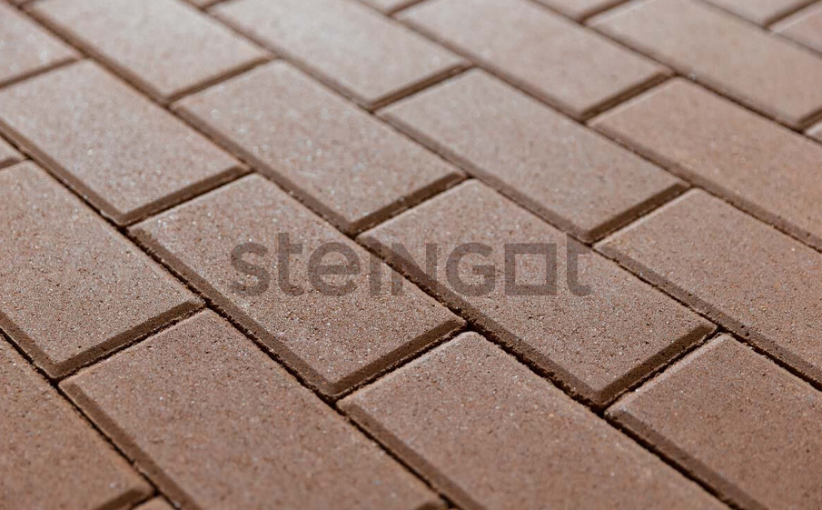 Плитка тротуарная Steingot Моноцвет, Прямоугольник, фаска 5*5, коричневый, 200*100*60 мм