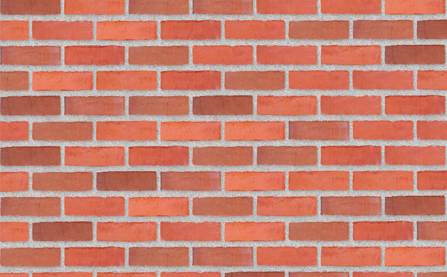 Плитка Randers Tegl Classica RT448, 215*65*20 мм
