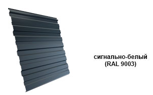 Профнастил Grand Line C10R PE RAL 9003 сигнальный белый