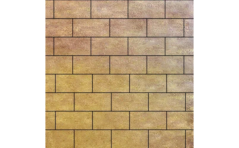 Плитка тротуарная SteinRus Прямоугольник В.6.П.8, гладкая, ColorMix Брайс, 200*100*80 мм