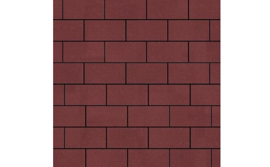Плитка тротуарная SteinRus Прямоугольник А.6.П.4 гладкая, красный, 200*100*40 мм