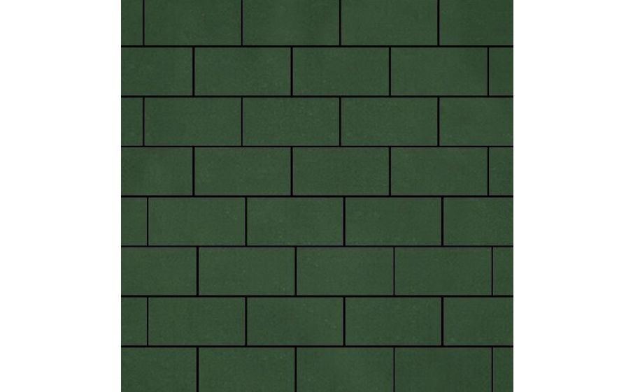 Плитка тротуарная SteinRus Прямоугольник В.6.П.8, гладкая, оливковый, 200*100*80 мм