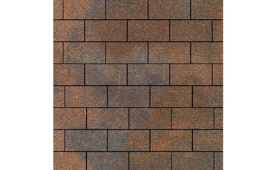 Плитка тротуарная SteinRus Прямоугольник Б.6.П.6 Native, ColorMix Штайнрус, 200*100*60 мм