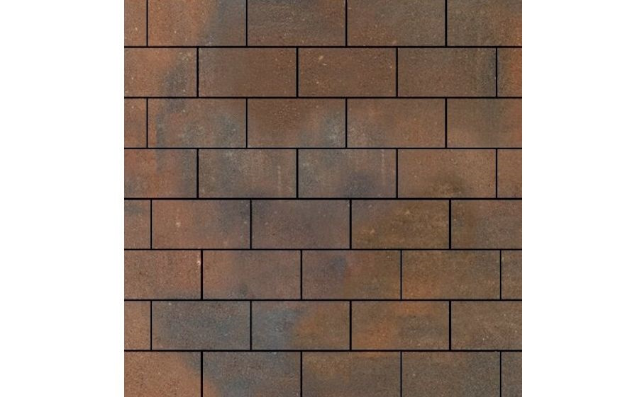 Плитка тротуарная SteinRus Прямоугольник В.6.П.8, гладкая, ColorMix Штайнрус, 200*100*80 мм