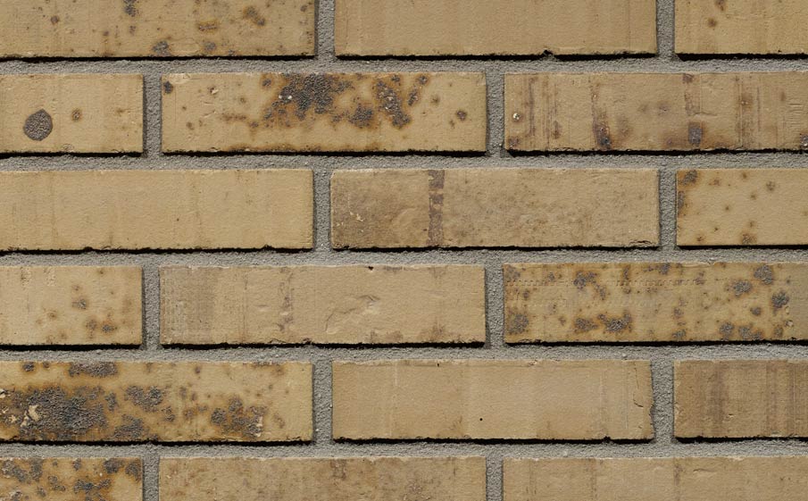 Кирпич облицовочный Terca Putty Multi Gesinterd 210*100*50 мм