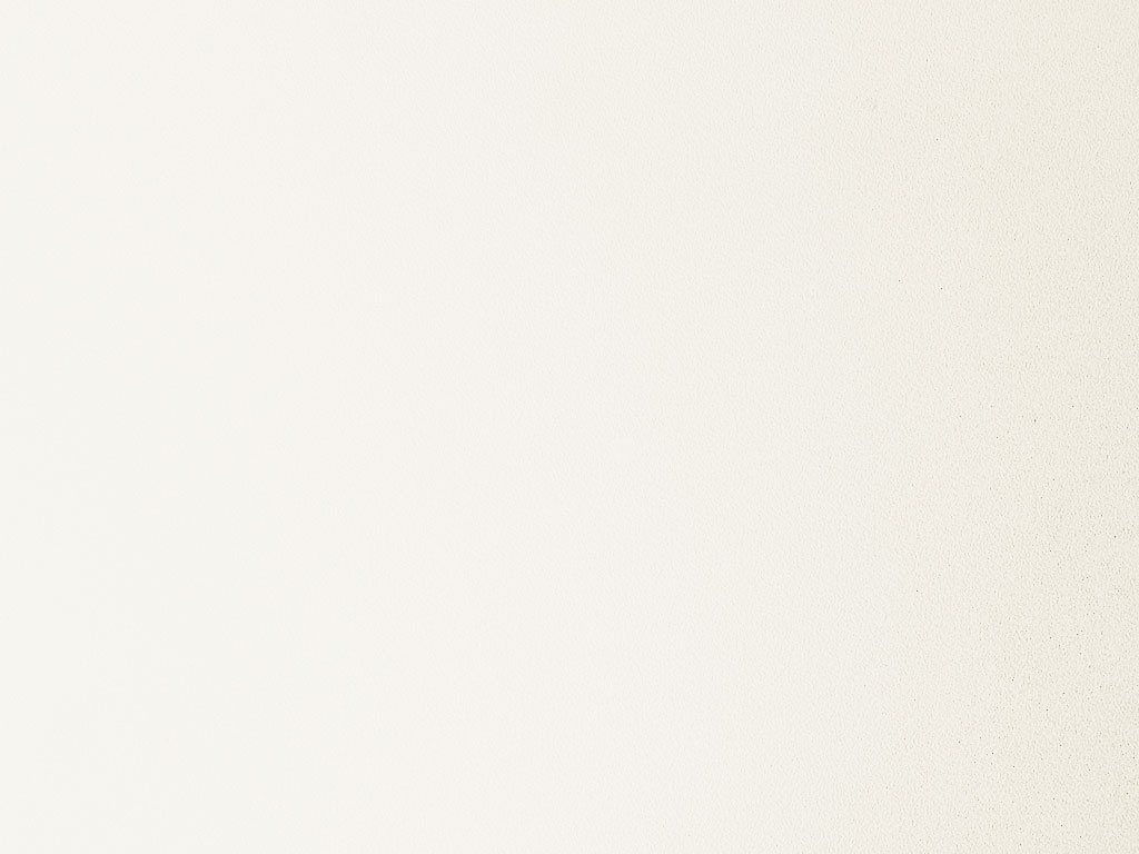 HPL-панель Lemark Белый SH-Shagreen (матовая), 3050*1300*10 мм