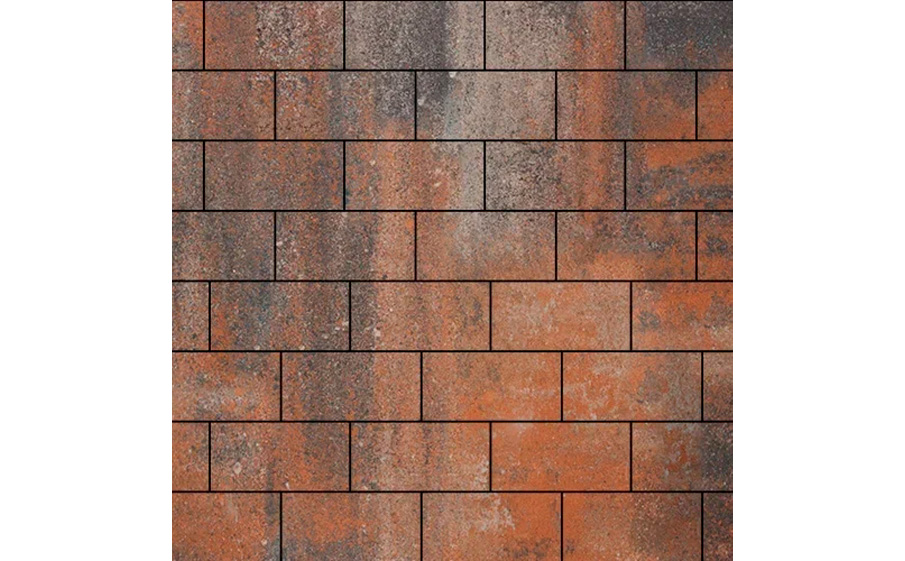 Плитка тротуарная SteinRus Прямоугольник А.6.П.4 гладкая, ColorMix Рей, 200*100*40 мм