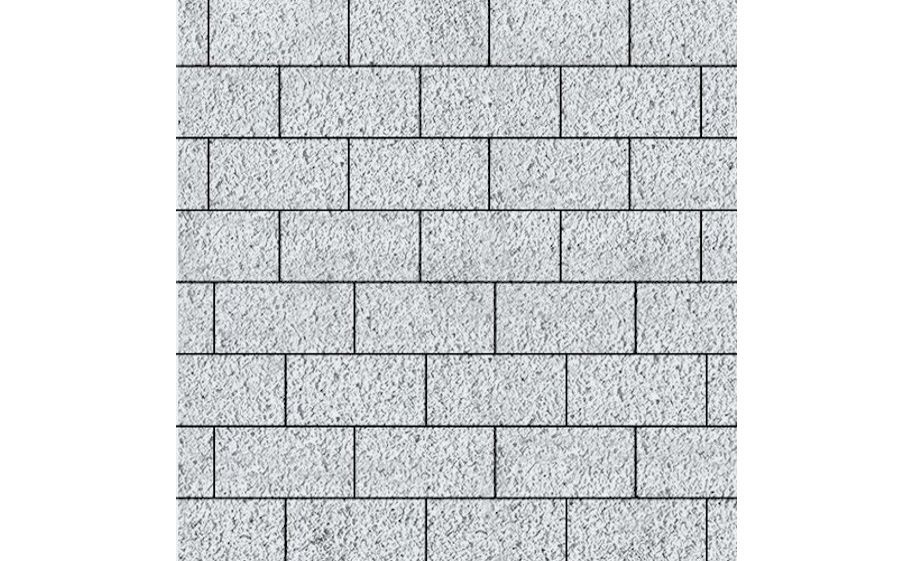 Плитка тротуарная SteinRus Прямоугольник Б.6.П.6, Backwash, Эльтон, 200*100*60 мм