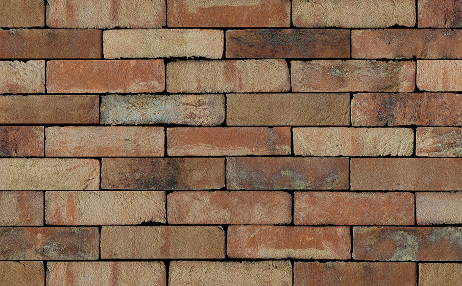 Кирпич S.Anselmo Superior Line Ecocolor, Selmo, 240*55*70 мм