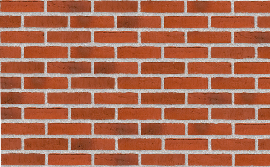 Плитка Randers Tegl Classica RT481, 215*65*20 мм