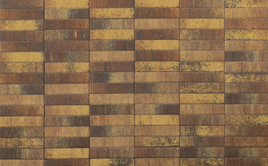 Плитка тротуарная BRAER Паркет Color Mix Мальва, 200*50*60 мм