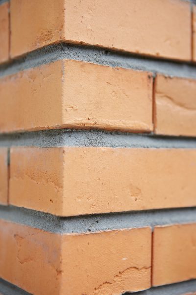 Кирпич облицовочный Terca Linnaeus Betula, 288*88*48 мм