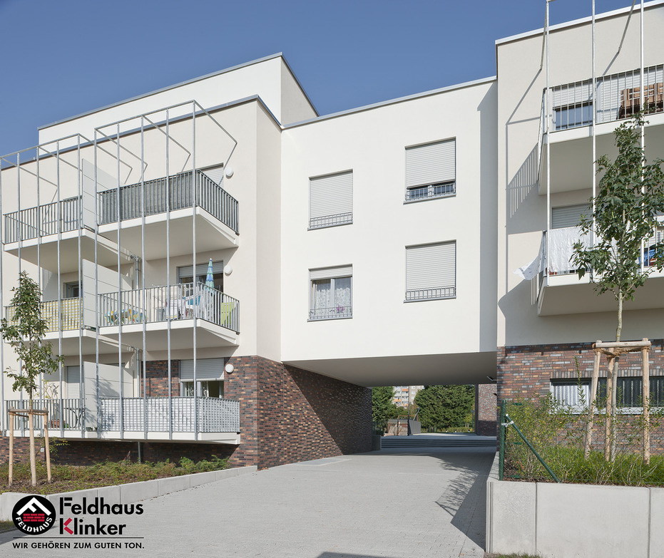 Клинкерная плитка под кирпич Feldhaus Klinker NF 14 R384  ferrum liso 240*71*14 мм