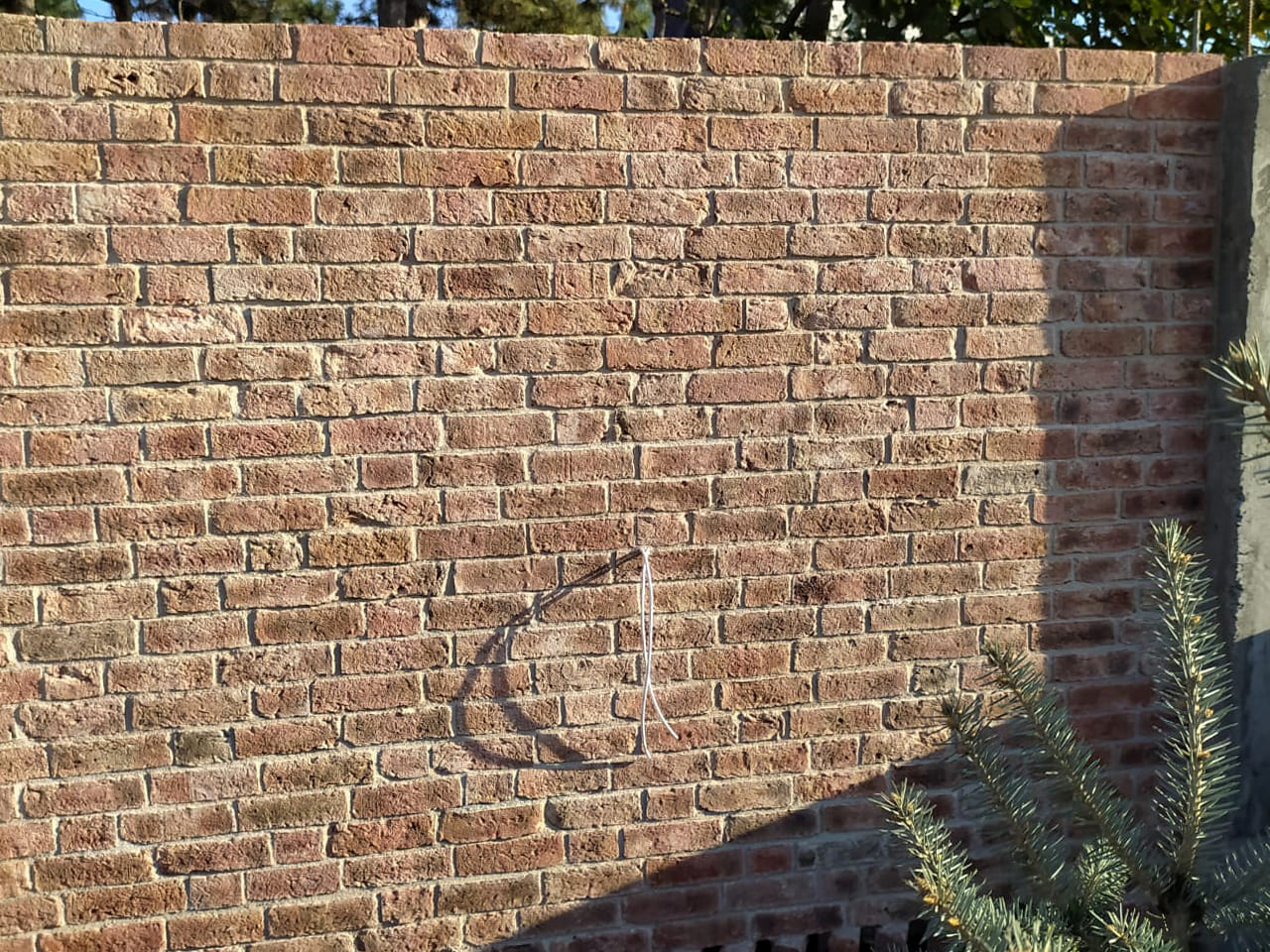 Кирпич облицовочный Rightbrick Мунк, 210*100*65 мм