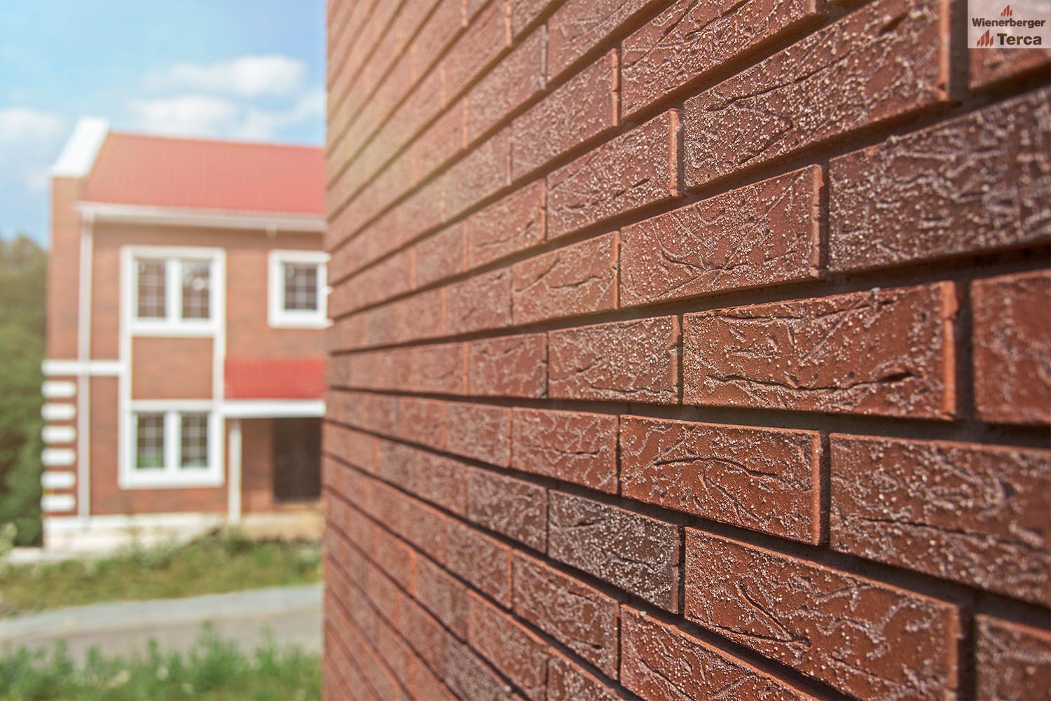 Кирпич Terca Red flame редуцированный с песком облицовочный, 250*85*65 мм