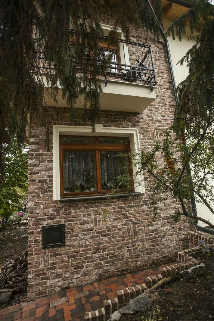 Кирпич облицовочный Engels Retro Hermitage Antiek, 215*100*65 мм