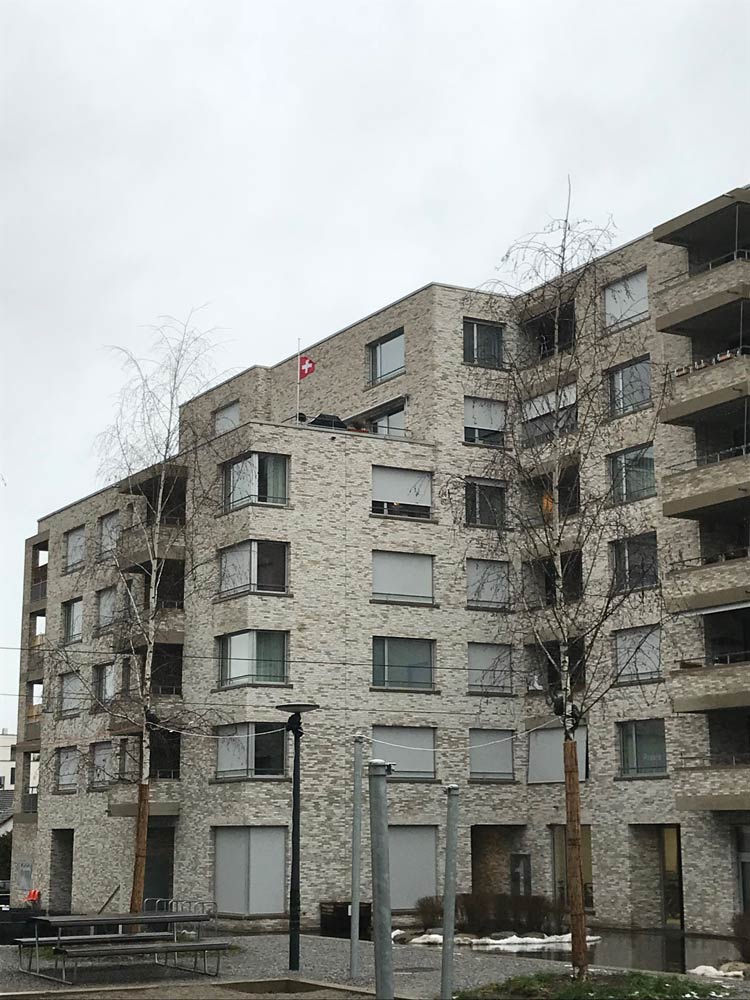 Кирпич облицовочный Engels Carthago, 215*50*65 мм