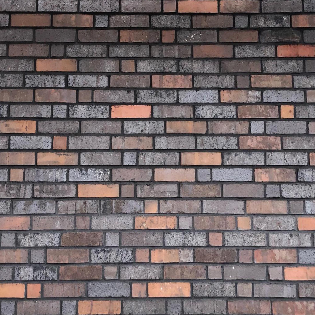 Кирпич клинкерный пустотелый Skriabin Ceramics С53, 250*120*65 мм