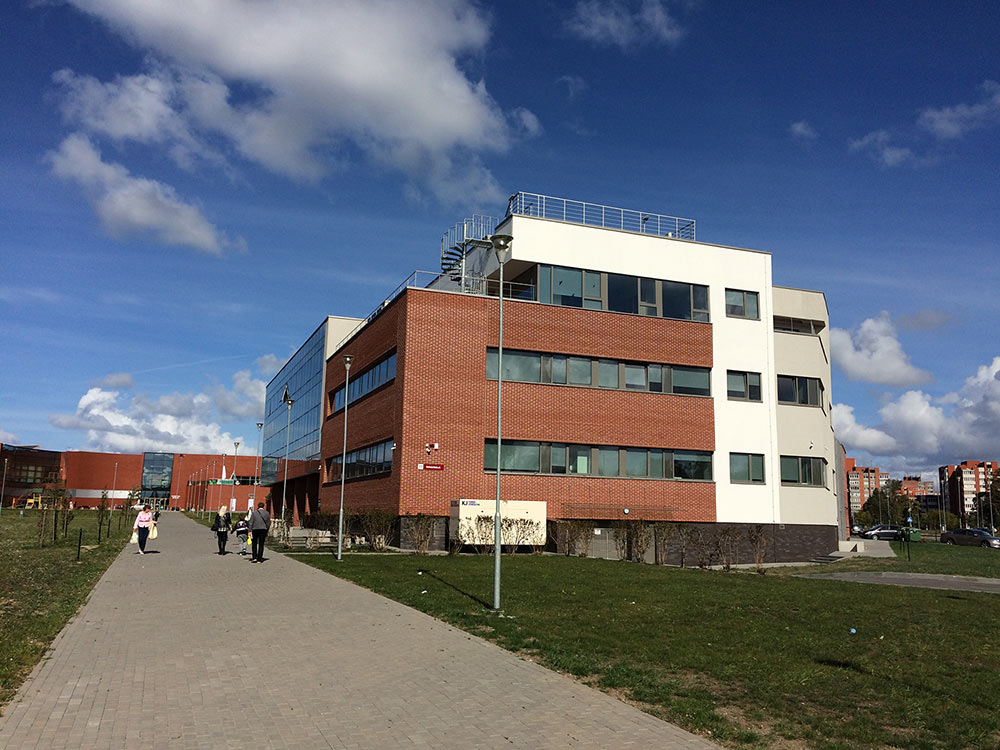 Кирпич клинкерный Terca Nordic Klinker Line Stockholm, 250*85*65 мм