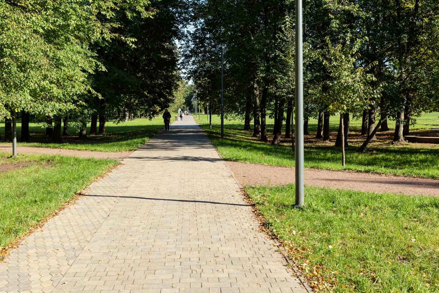 Плитка тротуарная Старый город Б.1.Фсм.6 листопад гранит старый замок, комплект 3 шт, толщина 60 мм