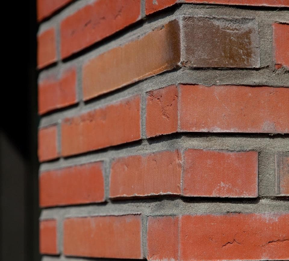 Кирпич облицовочный Terca Linnaeus Robinia, 288*88*48 мм