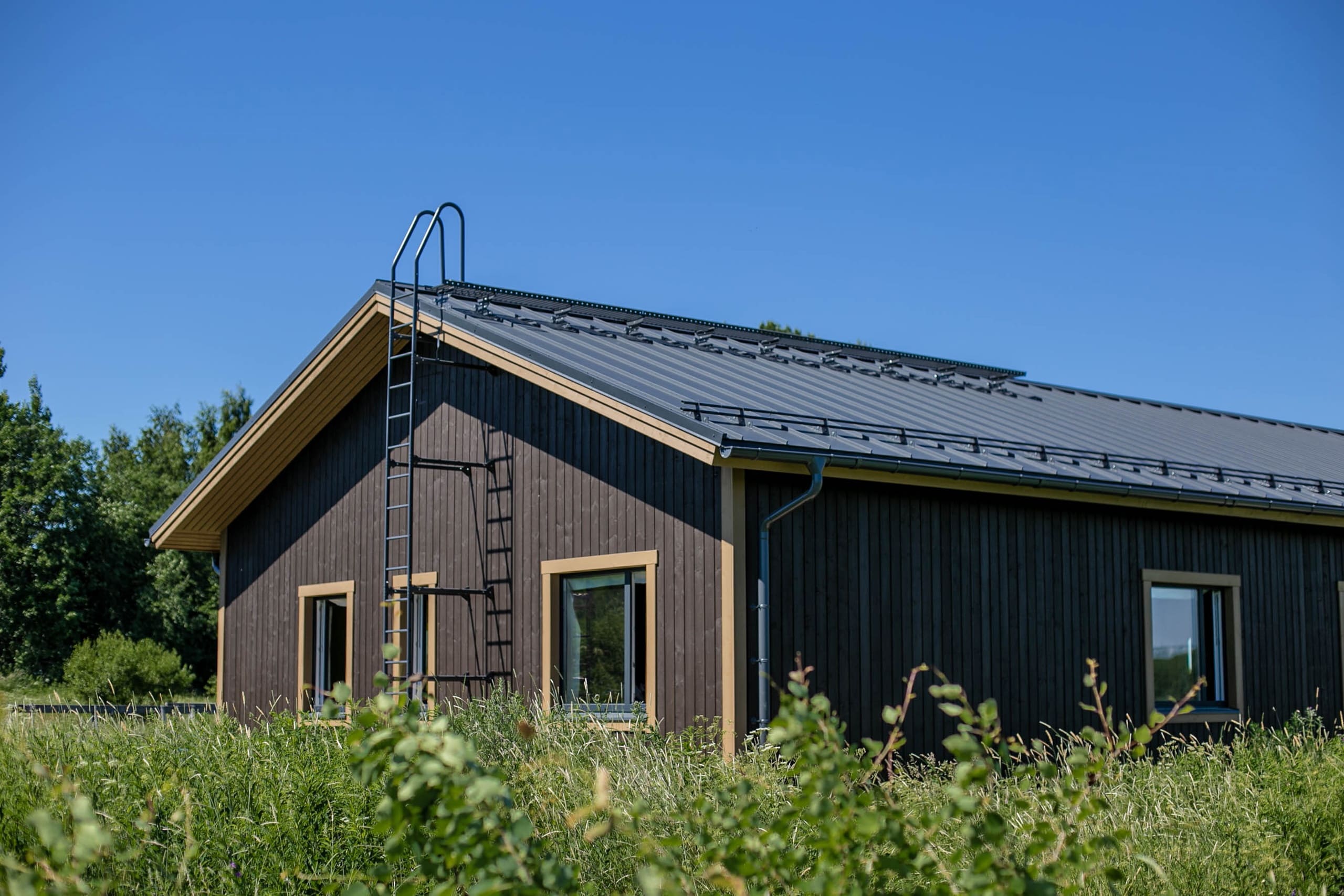 Самозащелкивающийся фальц прямой ARMO Rooftop Бархат Zn275