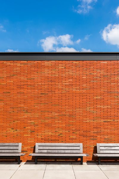 Кирпич облицовочный Terca Linnaeus Robinia, 288*88*48 мм