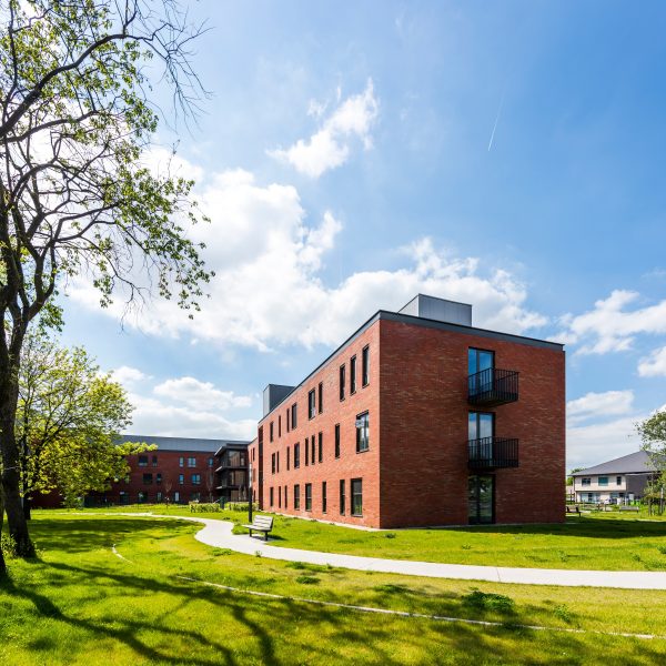 Кирпич облицовочный Terca Linnaeus Robinia, 288*88*48 мм