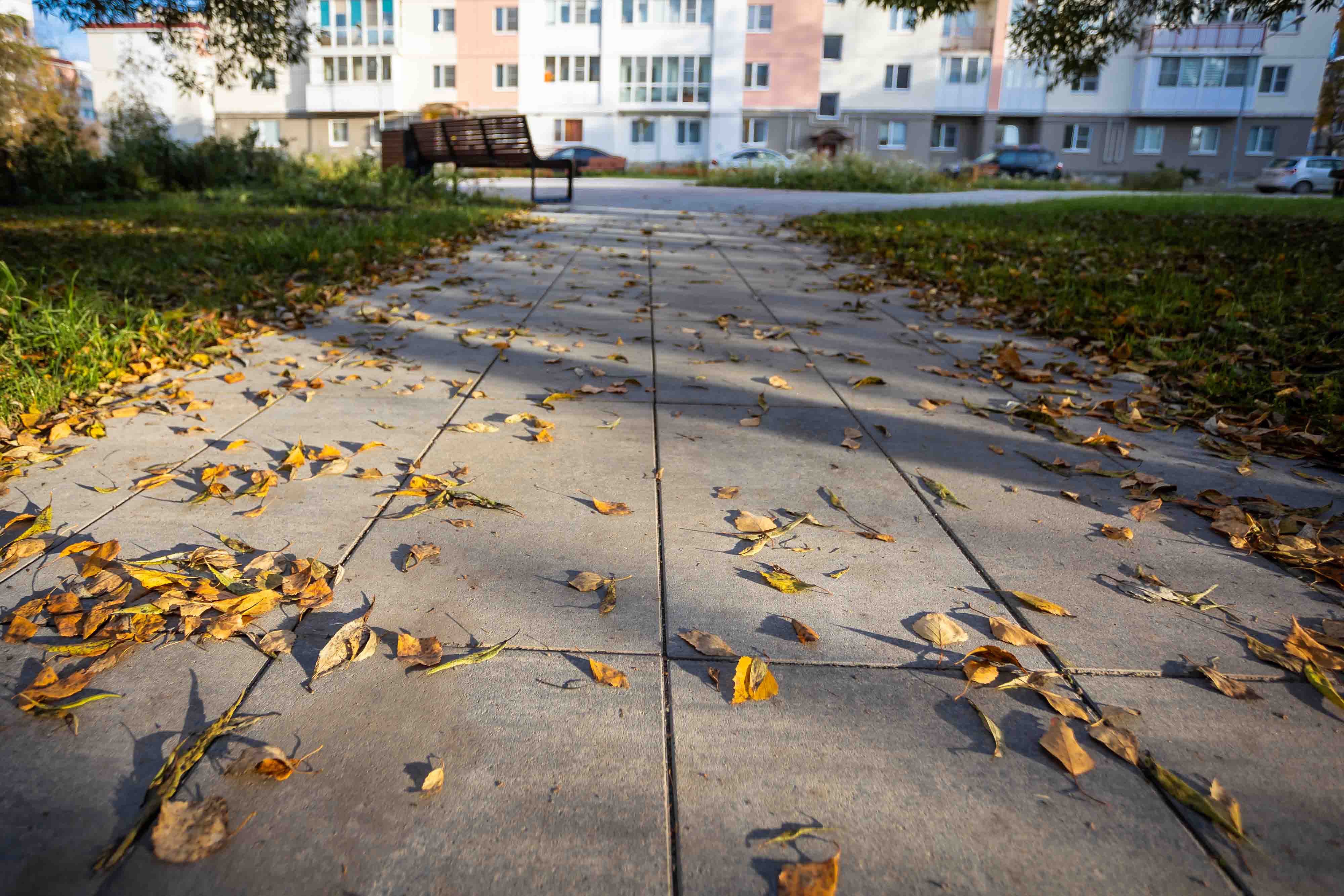 Плитка тротуарная Прямоугольник Б.5.П.8 листопад гладкий клинкер, 600*300*80 мм