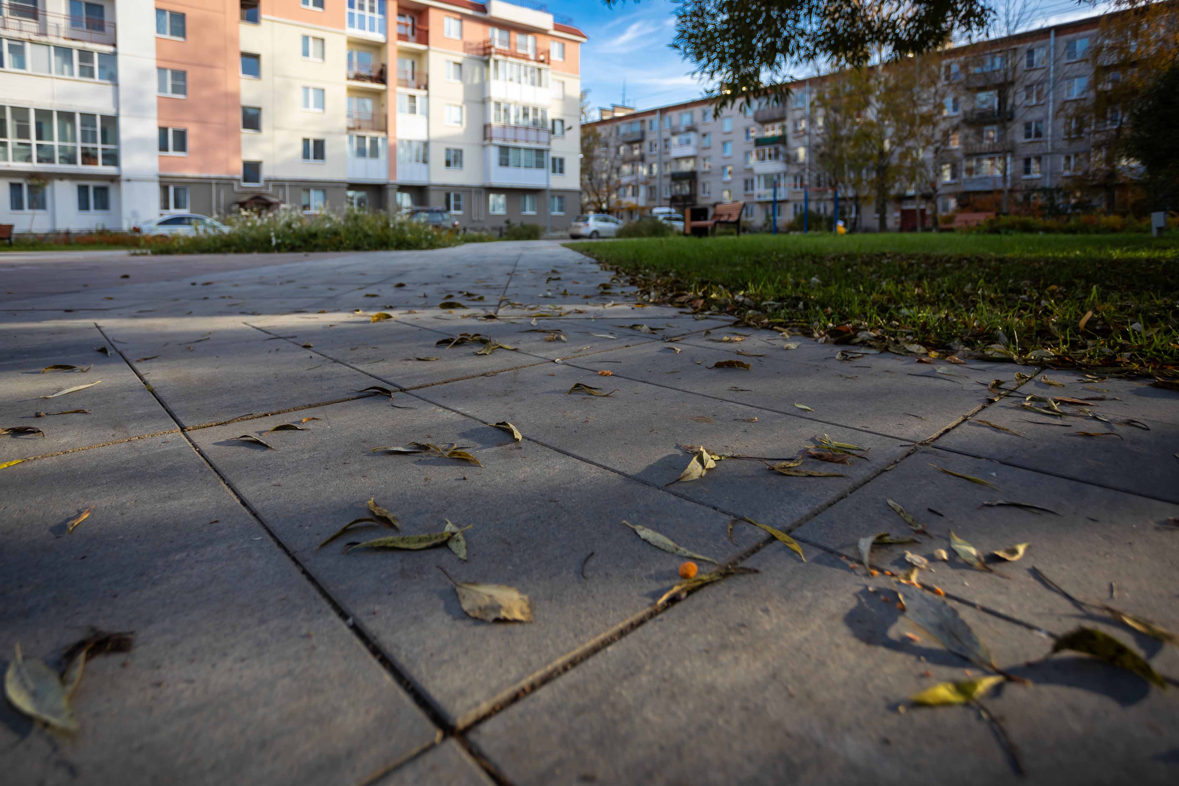 Плитка тротуарная Прямоугольник Б.5.П.8 листопад гладкий антрацит, 600*300*80 мм