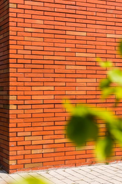 Кирпич облицовочный Terca Linnaeus Robinia, 288*88*48 мм