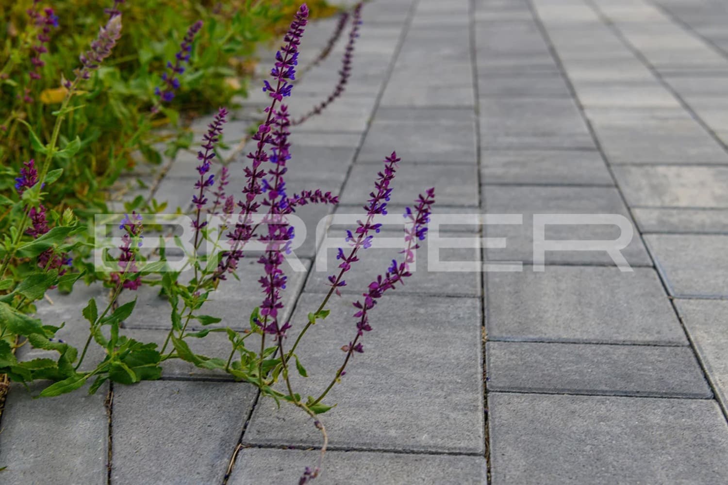 Плитка тротуарная BRAER Старый город Ландхаус Color Mix Туман, толщина 60 мм
