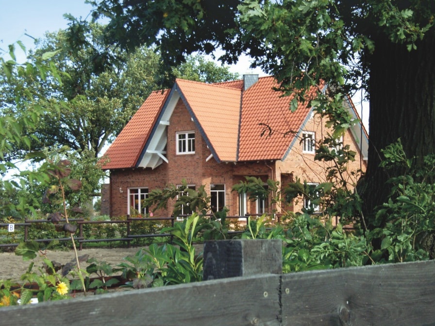 Кирпич облицовочный Terca Pastorale, 215*102*50 мм