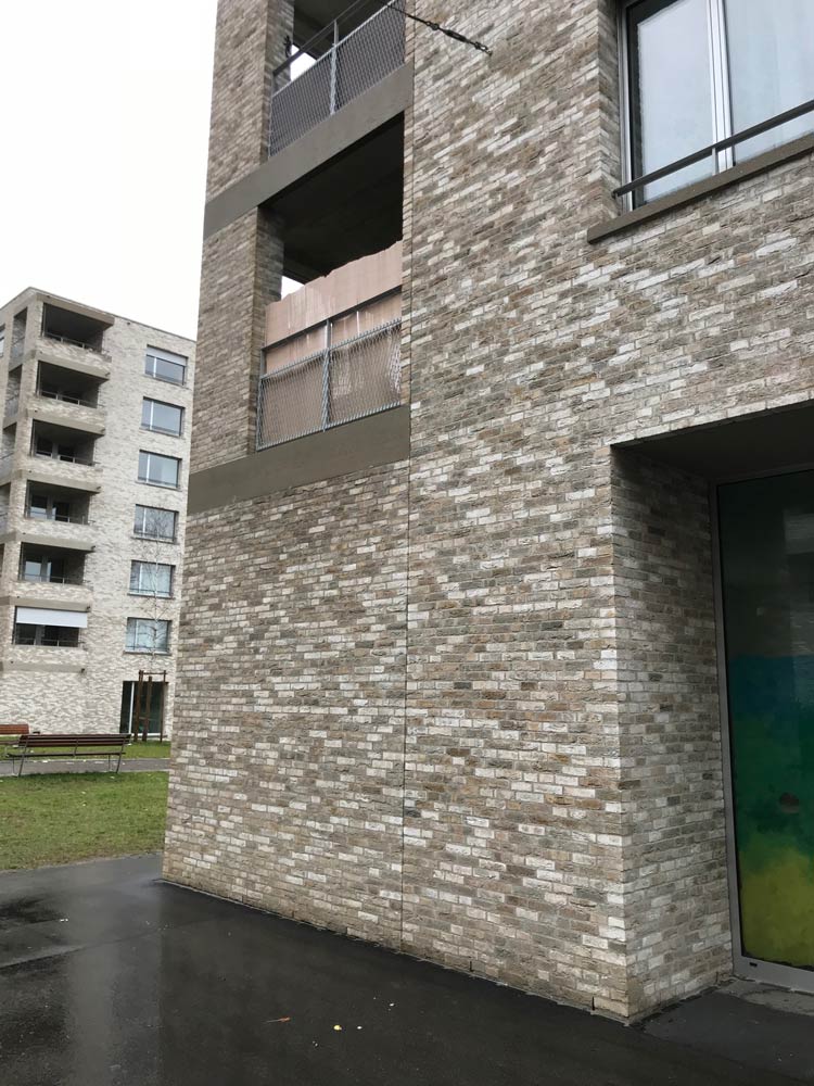 Кирпич облицовочный Engels Carthago, 215*50*65 мм