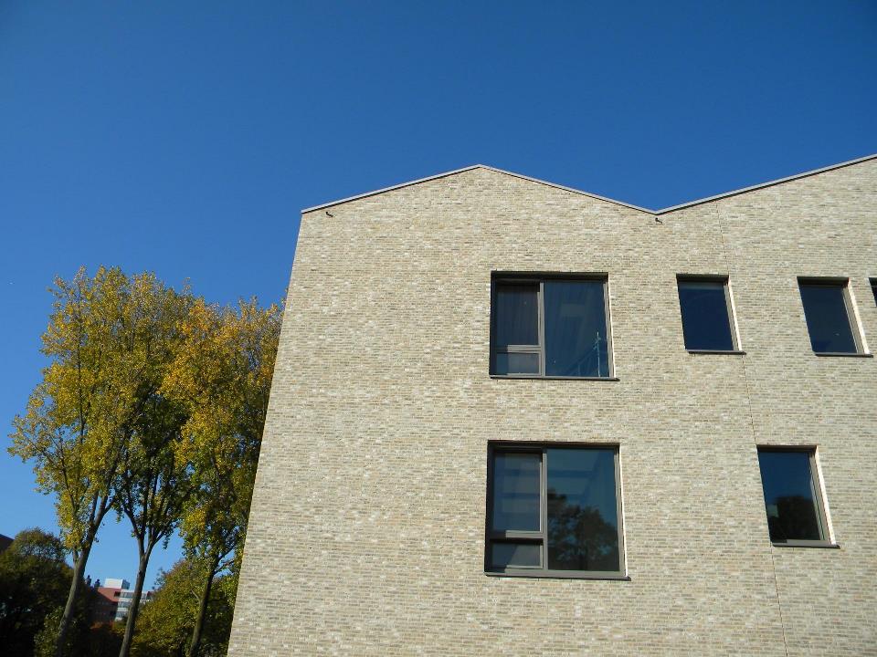Плитка Terca Brons Rustiek Marziale, 215*65*22-25 мм