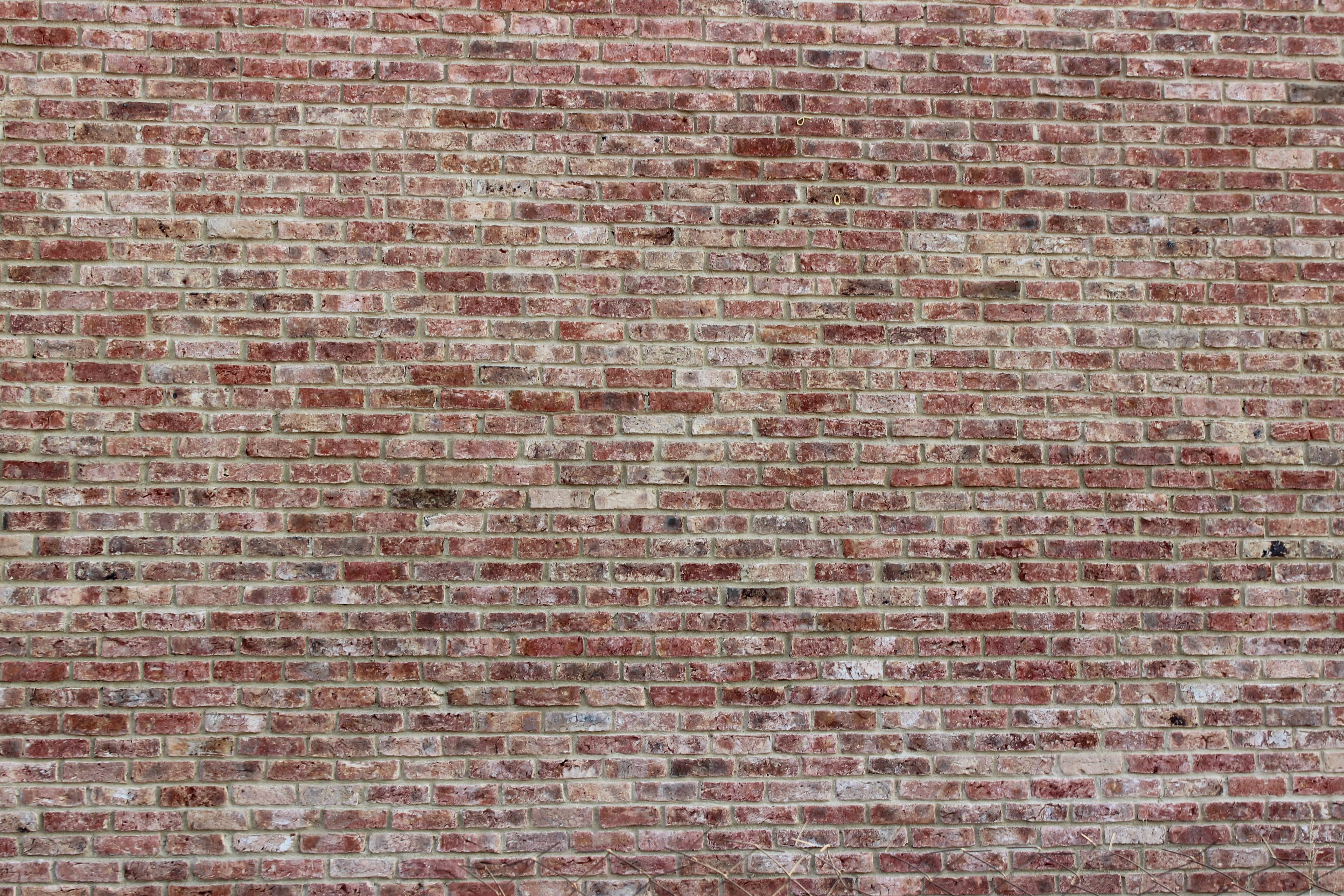 Кирпич облицовочный Rightbrick Мунк, 210*100*65 мм