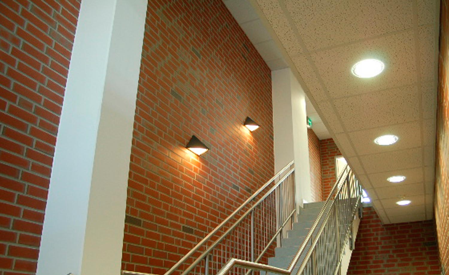 Клинкерная плитка под кирпич Feldhaus Klinker NF 9 R303 ardor liso 240*71*9 мм