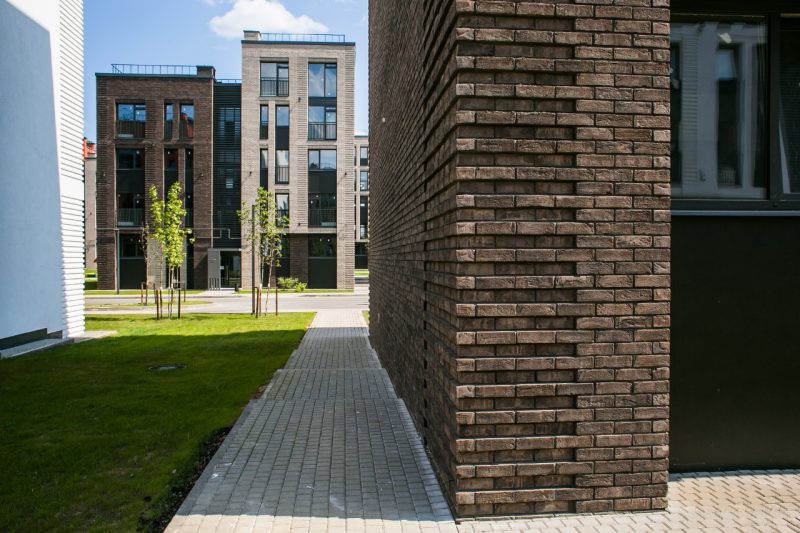 Плитка Terca Bruin-Zwart, 215*65*22-25 мм