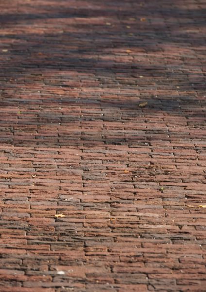 Кирпич облицовочный Terca Althea Garden Stone, 208*98*48 мм