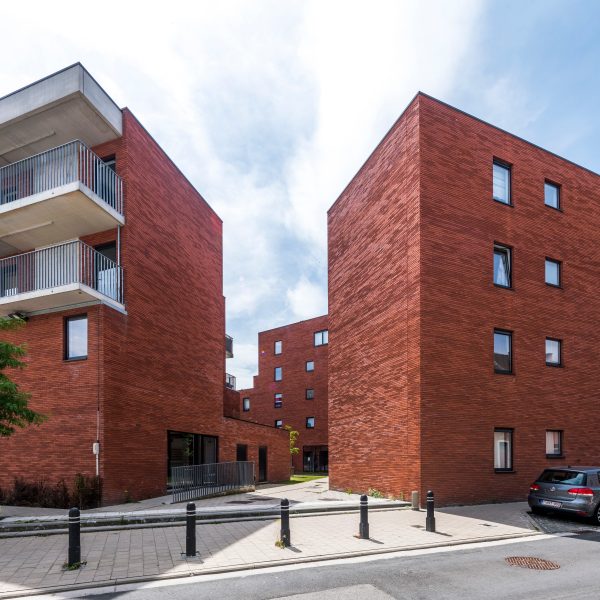 Кирпич облицовочный Terca Marono Rood, 288*88*48 мм