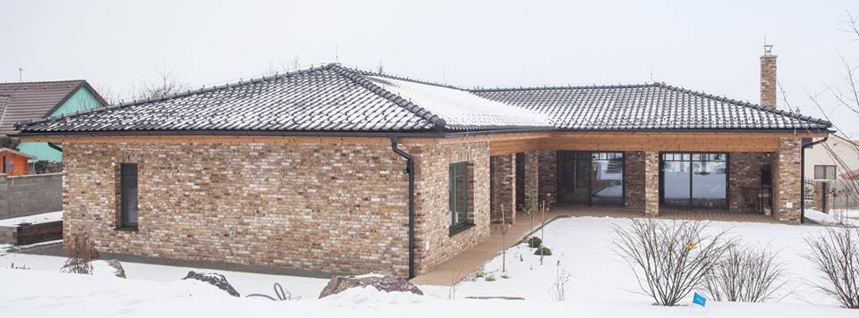 Кирпич облицовочный Engels Barnsteen, 215*50*65 мм