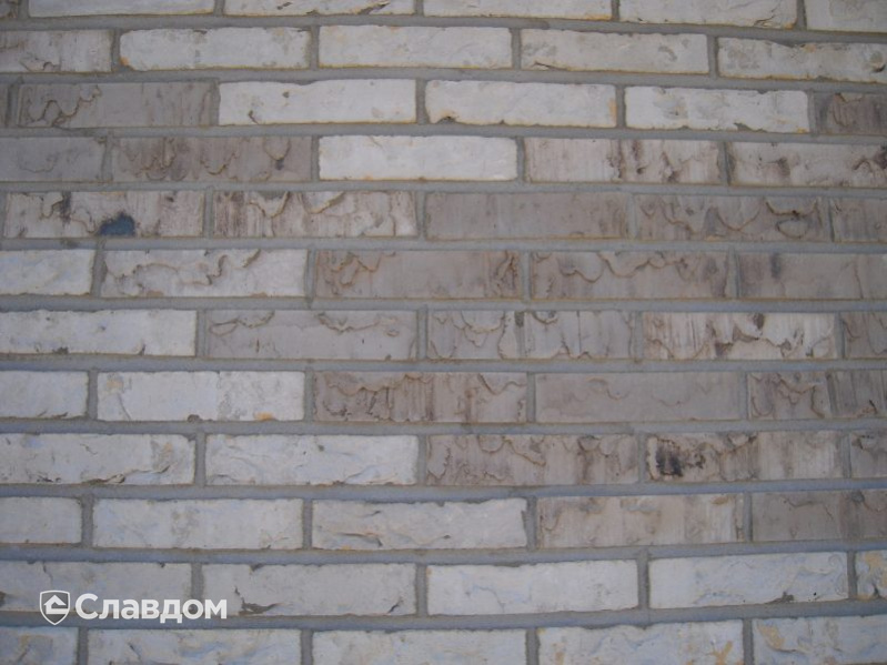 Здание стоматологии с облицовкой кирпичом Terca Birchwood