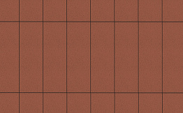 Плитка тротуарная Прямоугольник (Ла-Линия) Б.12.П.8 гладкий красный, 750*250*80 мм