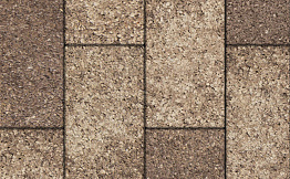 Плитка тротуарная Прямоугольник (Ла-Линия) Б.5.П.8 Листопад гладкий Хаски 600*300*80 мм