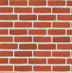 Плитка Randers Tegl Classica RT307, 220*65*20 мм