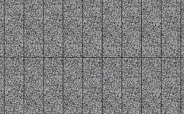 Плитка тротуарная Прямоугольник (Ла-Линия) В.11.П.10 Гранит+ серый с черным 400*100*100 мм