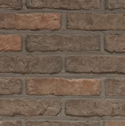 Кирпич облицовочный Terca Agora Porfiergrijs, 215*102*50 мм