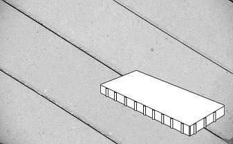 Плитка тротуарная Готика Profi, Плита, светло-серый, частичный прокрас, с/ц, 900*300*80 мм
