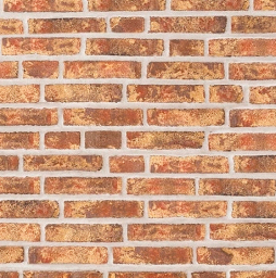 Кирпич облицовочный Randers Tegl Rustica RT452, 220*105*65 мм